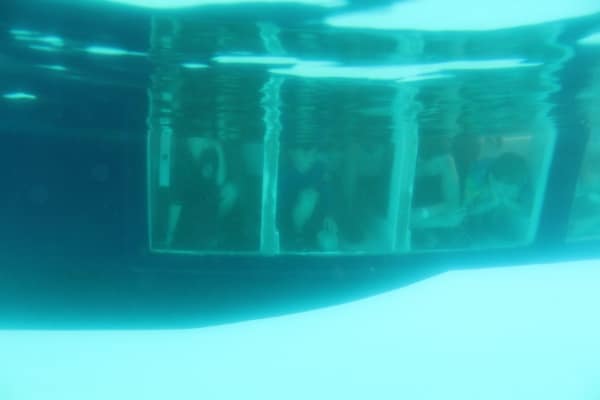 underwater view of people looking through a window