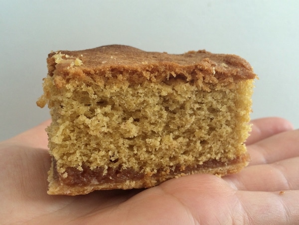 a cake square on the palm of a hand