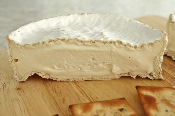 A cross section of a wheel of homemade Camembert cheese