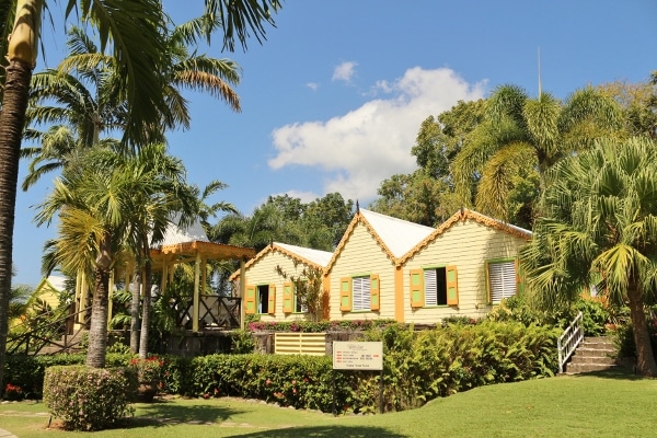 a view of Romney Manor with lots of trees and vegetation around it