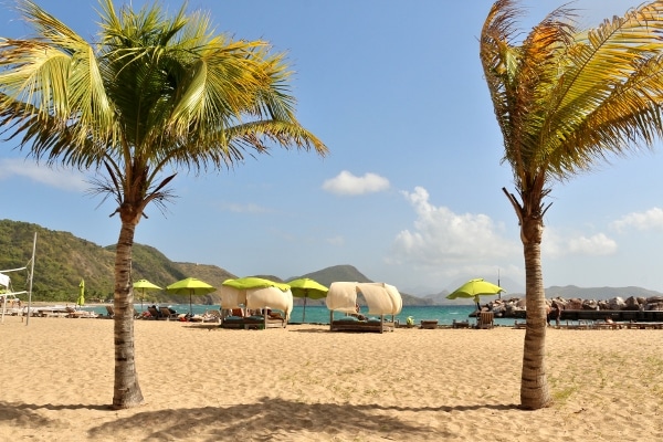 A beach with palm trees and lime green umbrellas