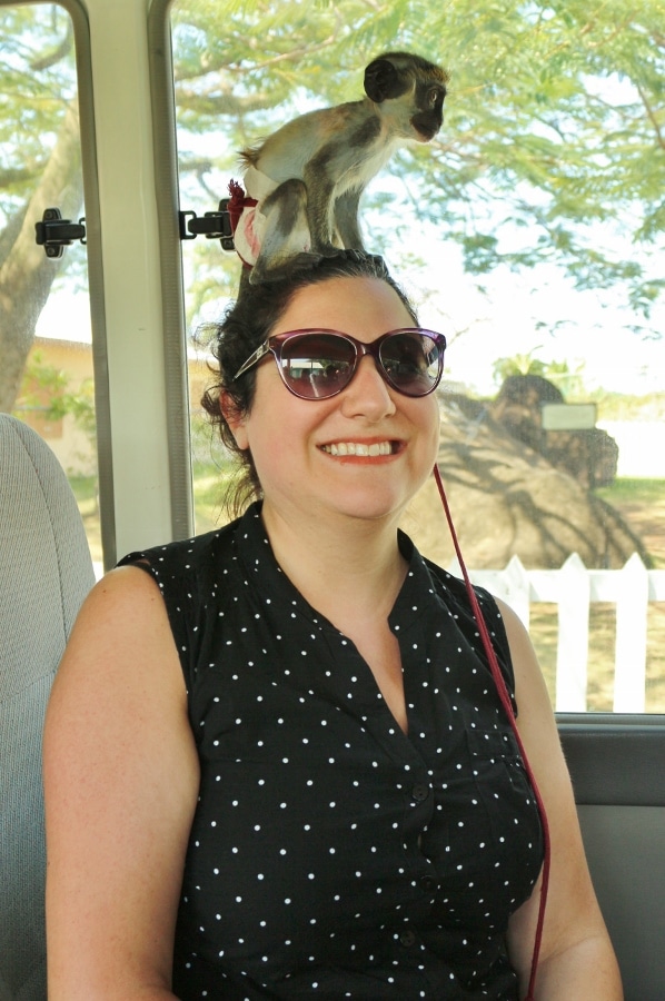 A woman in sunglasses with a small monkey on her head