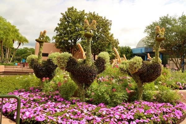 a topiary display of 3 ostriches
