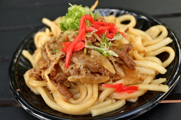 closeup of a dish of udon noodles with teriyaki beef