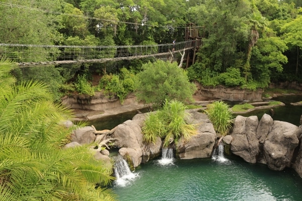 A rope bridge over a body of water