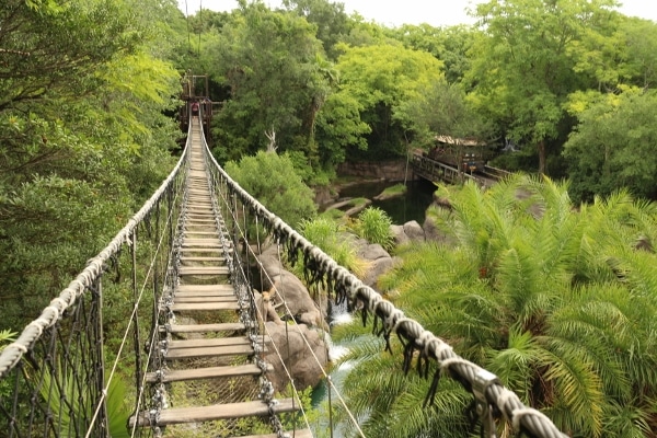 view across a long rope bridge from one end