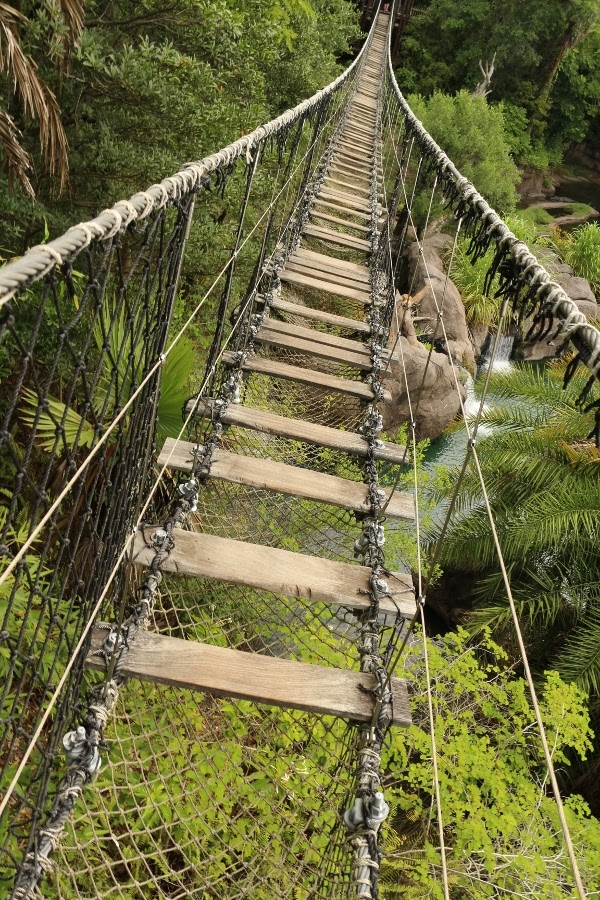 view looking down at a rope bridge with netting underneath