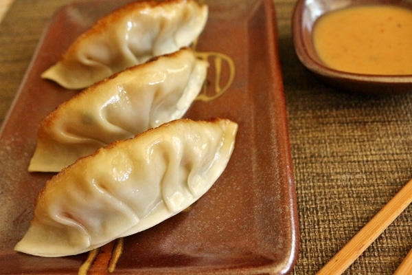 closeup of pan-fried chicken and thai basil dumplings on a colorful plate