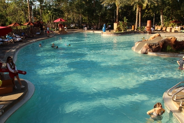 a large swimming pool surrounded by trees