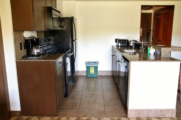 side view of the kitchen in Disney\'s Animal Kingdom Villas