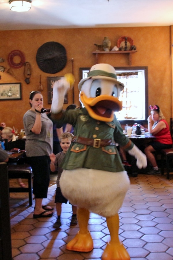 Donald Duck waving a maraca in the air while he walks