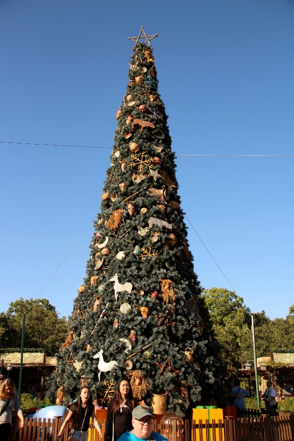 the Christmas tree at Disney\'s Animal Kingdom