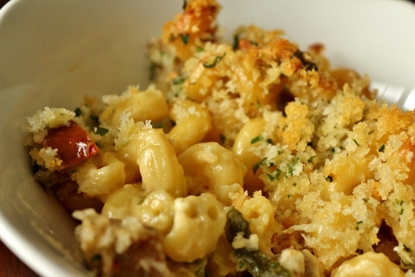 a closeup of macaroni and cheese with chorizo in a white bowl