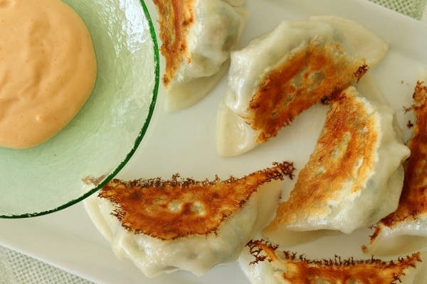 overhead view of a plate of fried dumplings