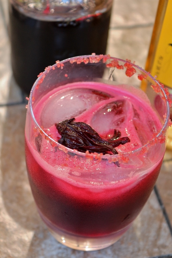 hibiscus mezcal margarita