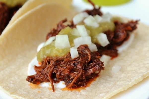 Braised short rib taco with sour cream, salsa verde, and chopped onions on corn tortilla