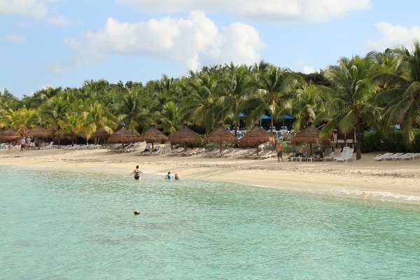 a few people swimming in a tropical beach lined with palm trees
