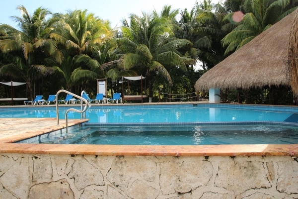 a pool and hot tub surrounded by palm trees