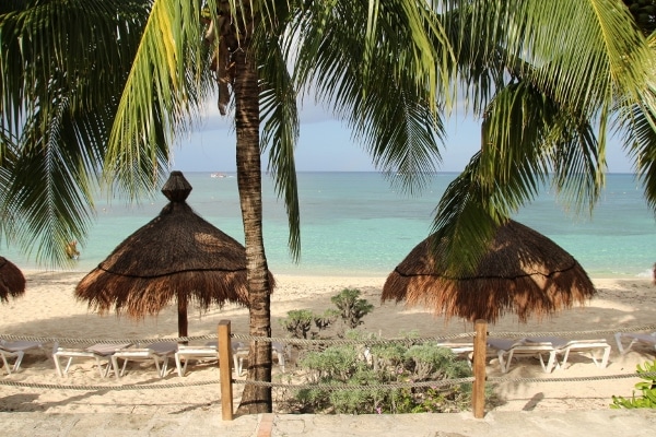 view of a beach through palm trees and beach umbrellas