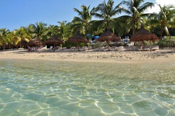 view of a palm tree lined beach from the water