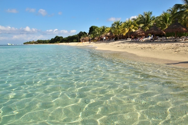 a calm and serene beach lined with palm trees