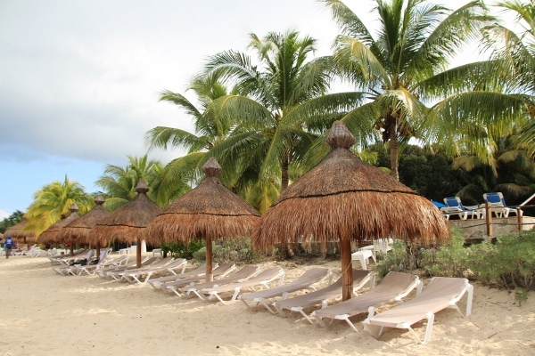 a row of beach chairs with grassy beach umbrellas