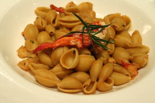 a plate of pasta shells with a lobster sauce