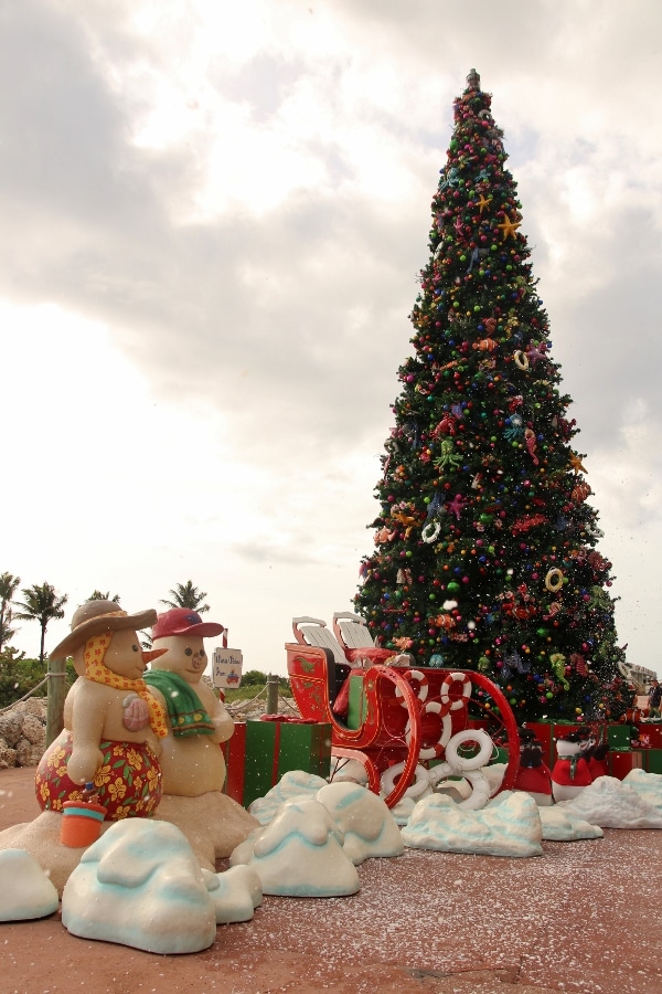 a Christmas tree and holiday decorations on Castaway Cay