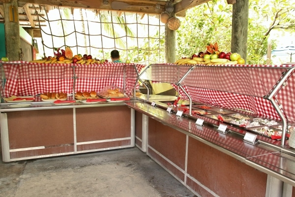 wide view of an outdoor food buffet