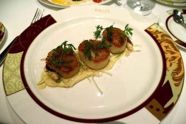 A plate of seared scallops
