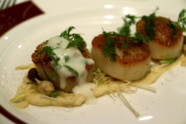 closeup of seared scallops with a creamy sauce drizzled over top