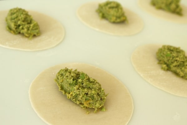 Rows of dumpling wrappers topped with edamame filling