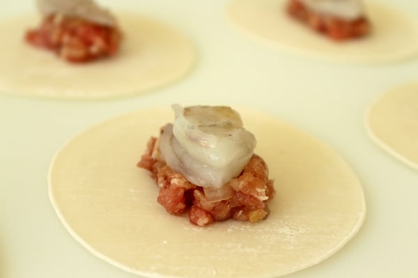 dumpling wrappers topped with ground pork and shrimp