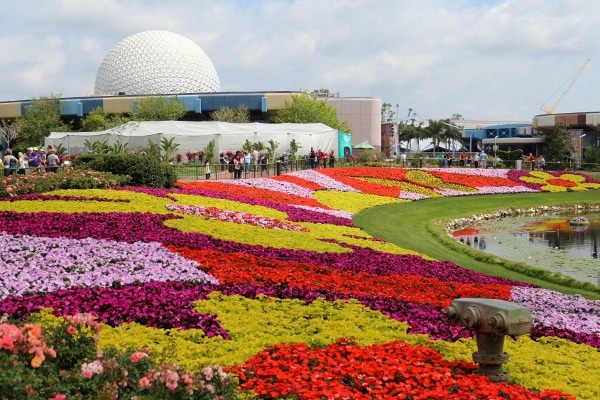 A close up of a flower garden