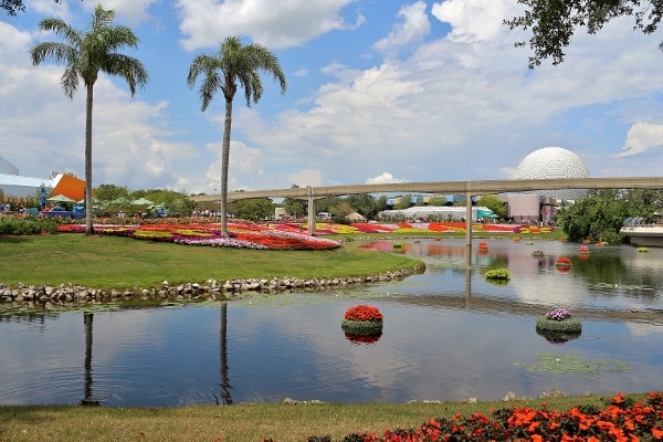 A group of palm trees next to a lagoon, with colorful flowers all around