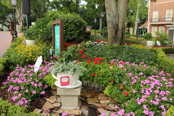 a garden with teapots filled with flowers