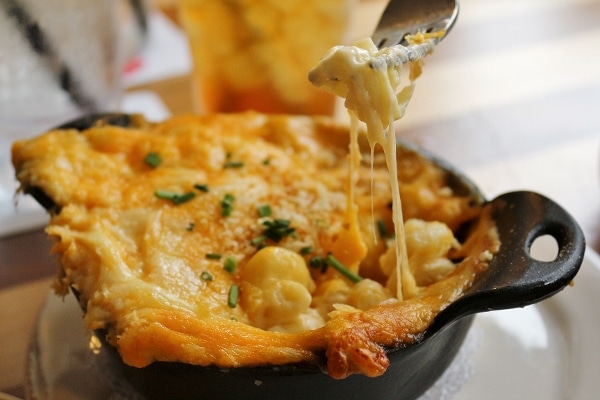 A close up of a forkful of macaroni and cheese