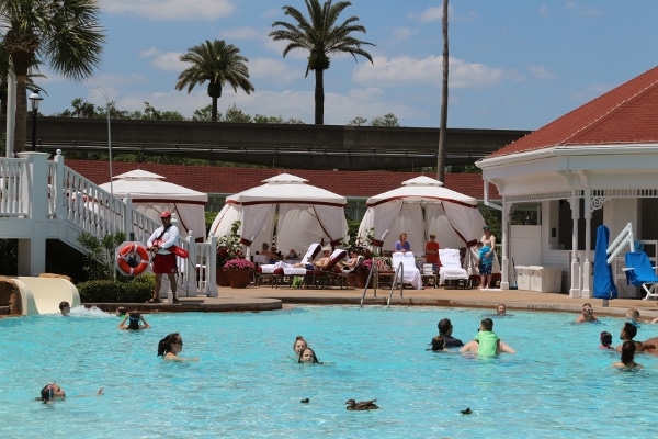 people and ducks in a swimming pool