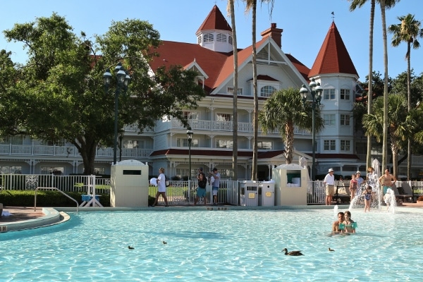 a family of ducks in a swimming pool