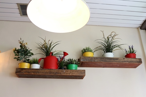 shelves topped with potted plants