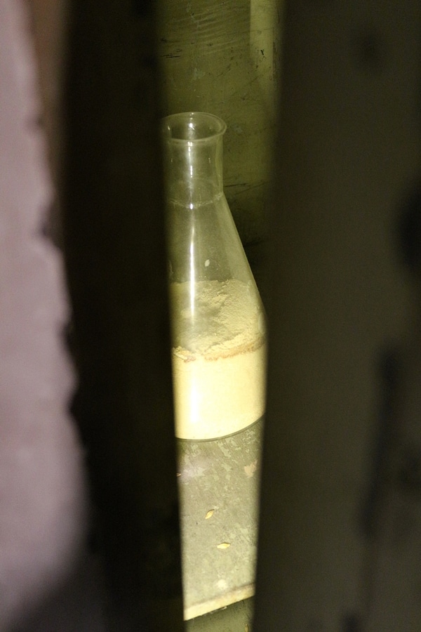 A close up of a bottle of yeast