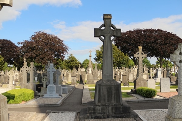 graves in a cemetery