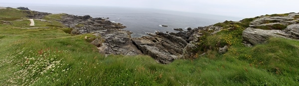 A close up of a rocky hillside along the sea