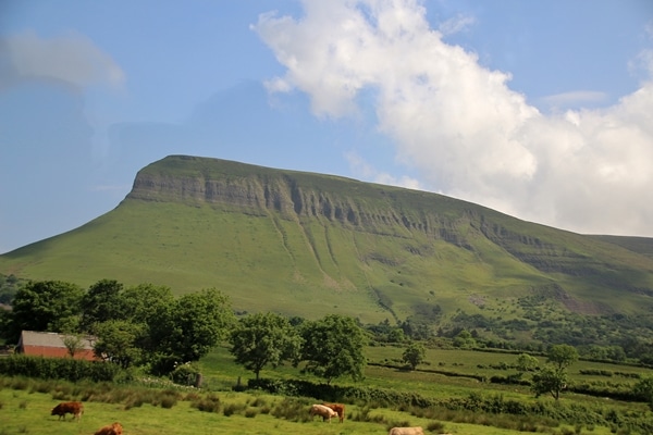 A field with a mountain in the background