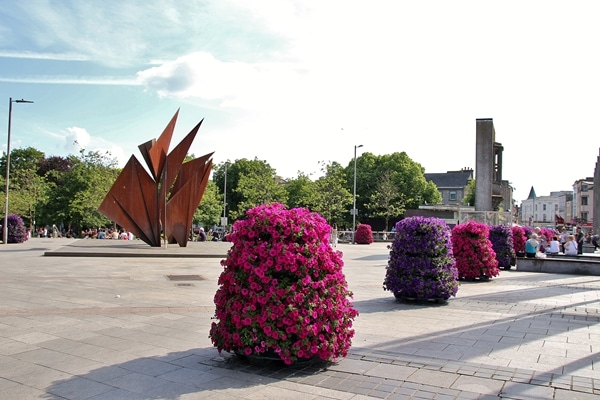 A group of pink and purple flowers on a sidewalk