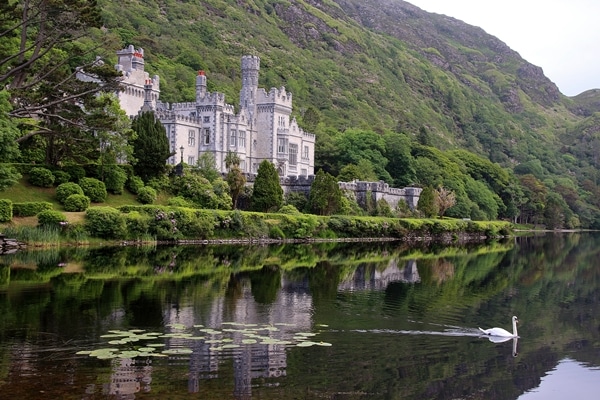 A castle on a lake with a swan swimming in front