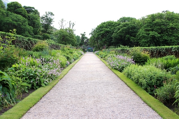 A path surrounded by trees and bushes