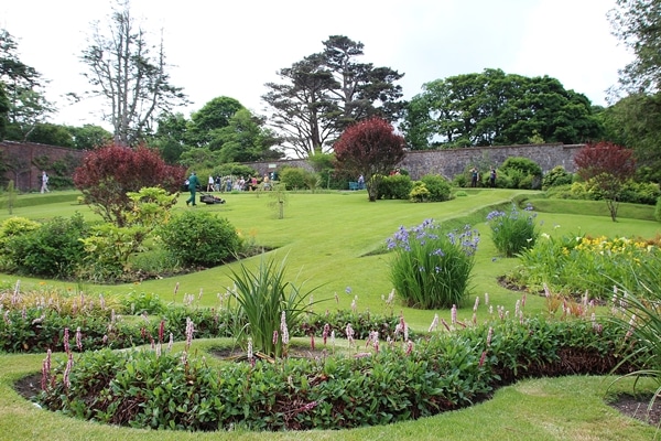 A close up of a flower garden