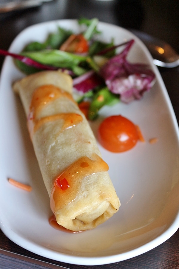 a spring roll drizzled with sauce on a plate