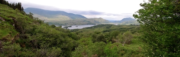 view of a lush landscape with a lake in the middle